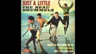 The Beau Brummels   Just A Little