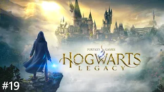 ВТОРОЕ ИСПЫТАНИЕ: загадки в замке Чарльза Руквуда ➣ Hogwarts Legacy #19