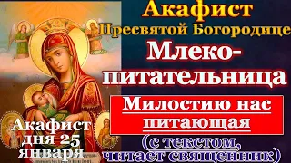 Акафист Пресвятей Богородице в честь иконы Ея, именуемыя Млекопитательница, молитва Божией Матери