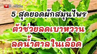 5 ผักสมุนไพร ลดเบาหวาน ลดน้ำตาลในเลือด|รู้ไว้จะได้ไม่ป่วย|เบาหวาน