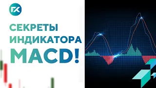 Индикатор MACD в трейдинге! MACD это секрет успеха?!