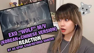 OG KPOP STAN/RETIRED DANCER reacts to EXO "Wolf" (Korean+Chinese) M/V!