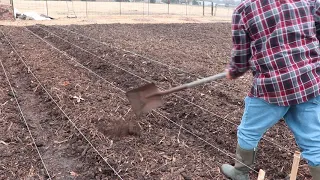 Mulch | Wood Chips | BCS Tractor | 30 Inch Market Garden Beds