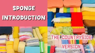 ASMR Sponge🎀Sponge Introduction The Countryside Version🎀スポンジ紹介 田舎編🎀