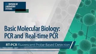 Basic Molecular Biology: PCR and Real-Time PCR – RT-PCR Fluorescent Probe-Based Detection