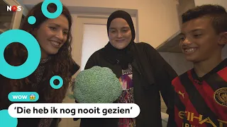 Tameem vindt een exotische spin in de broccoli