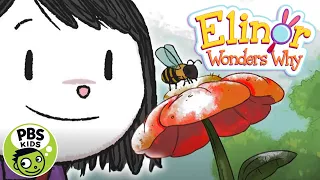 Elinor Wonder's Why | Follow that Bee! | PBS KIDS