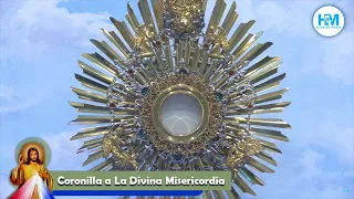 Coronilla a la Divida Misericordia  --EN VIVO--