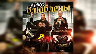 Даня Милохин , Николай Басков - Дико влюблены ( Премьера трека ) || 2021