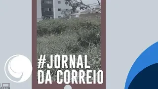 #Sou Repórter Correio    Luciana   Terreno no Cuiá   João Pessoa