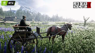 Red Dead Redemption 2 Relaxing Ambient Third Person Horse Carriage Ride around the Map