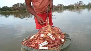 Amazing!!!! Sri Lankan 🇱🇰fishing traditional net fishing video shrimp fishcathing video