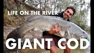 Murray River LONG range Fishing and camping trip GIANT Surface Murray Cod Week 2