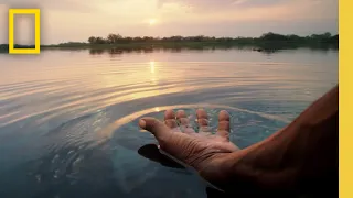 The source of life for the Okavango | National Geographic