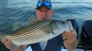 Fall Rockfish, Striped Bass in The Middle Chesapeake Bay!