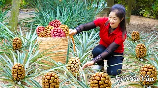 Harvest Yellow Wild Pineapple & Goes to the market sell - Harvesting and Cooking | Daily Life