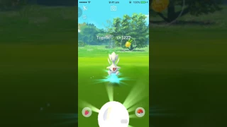 Wild Togetic 1222cp!