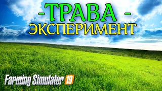 ✅Farming simulator 2019 ЭКСПЕРИМЕНТ С ТРАВОЙ И ЕСТЬ ЛИ РАЗНИЦА ДОРОГОЙ КОМБАЙН VS НЕДОРОГОЙ 💥💥💥