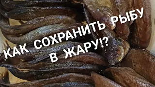 КАК СОХРАНИТЬ РЫБУ НА ПРИРОДЕ В ЖАРУ? Наловили и привезли рыбу домой из недельного отпуска дикарями!