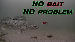 Bait-less Fishing SAVE Money! Catch Fish Easily! ANYONE Can Do This