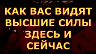 КАК ВАС ВИДЯТ ВЫСШИЕ СИЛЫ ЗДЕСЬ И СЕЙЧАС гадания карты таро любви сегодня