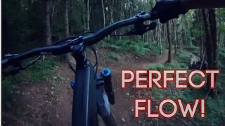 Flow Trail Done RIGHT!!!