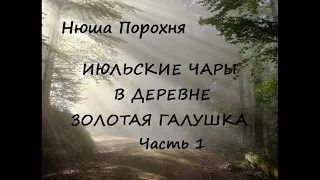 Нюша Порохня ИЮЛЬСКИЕ ЧАРЫ В ДЕРЕВНЕ ЗОЛОТАЯ ГАЛУШКА, часть 1