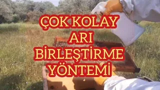 Arı birleştirme nasıl yapılır