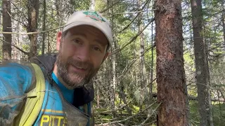 Quest for the American Three toed Woodpecker in the Adirondacks