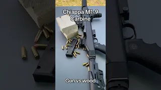 Chiappa M1-9 Carbine VS 2/4 #gun #gunasmr #shooting #9mm #america #shorts