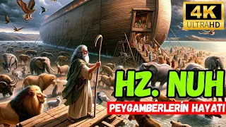 🌊 Hz. Nuh - Çizgi Film | Peygamberlerin Hayatı - 4K 🚢