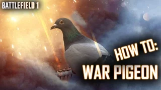 HOW TO: WAR PIGEON | BATTLEFIELD 1 [ Tutorial ]