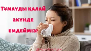 Тұмауды қалай 2 кунде емдейміз?