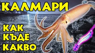 МОРСКИ ДАРОВЕ - РИБОЛОВ НА КАЛМАРИ. Как, къде и на какво?