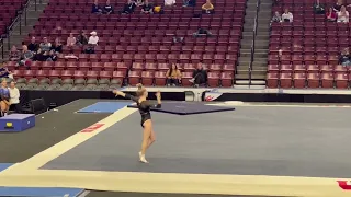 Level 10 Floor Routine (9.675)