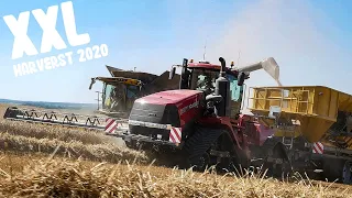 🇫🇷XXL MOISSON DE BLE 2020 😱 22 M 🌾 !!! | 2x NEW HOLLAND CR 9.90 & QUATRAC 620 | DELMOTTE FARM