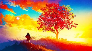 Manifest Magic & Opportunities Meditation Music ! Law of Attraction, Positive Thinking Sleep Music