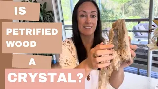 🌳 Is Petrified Wood a Crystal?!?