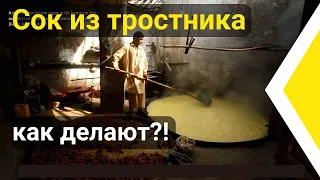 Как делают сок из тростника | Тростниковый сахар. Как получают сок из сахарного тростника. Гоа.Индия