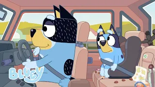 Voyages sur la route! | Bluey Français Chaîne Officielle