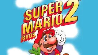 Super Mario Bros. 2 (dunkview)