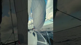 Sailart 20 - Steinhuder Meer