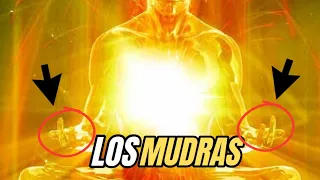 ¿Que son los MUDRAS y para qué sirven?