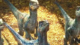 Owen Grady Treina Seus Raptores | Jurassic World: O Mundo dos Dinossauros (2015) DUBLADO HD