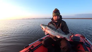 ПОЕХАЛ ЗА СУДАКОМ И СПАЛИЛ КАМЕРУ !!!.ПОИСК СУДАЧЬИХ МЕСТ ПО ЭХОЛОТУ.Пару слов о  Super Vivo 882MH