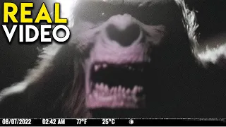 Mega Compilation of 2023 Disturbing Trail Cam Footage