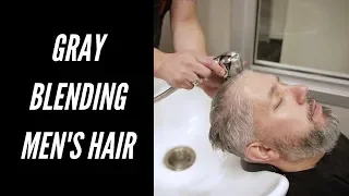 Gray Blending Men's Hair