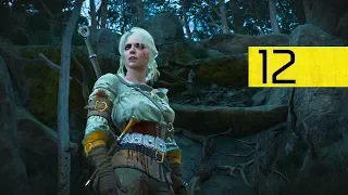 The Witcher 3: Wild Hunt — Walkthrough 4K (NG+,100L) #12 — Ciri's Story: The King of The Wolves