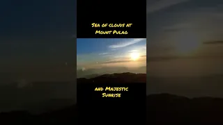 Sea of clouds and majestic sunrise at Mount Pulag #short #shorts #mountains #views