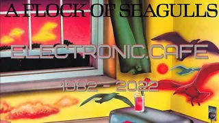 * FLOCK OF SEAGULLS by A FLOCK OF SEAGULLS - Review 40 Years - 1983 #synthpop #electronicmusic